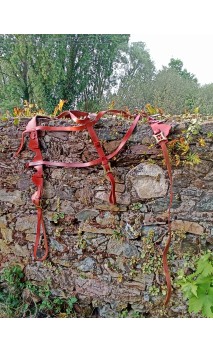 Harnachement pour Destrier