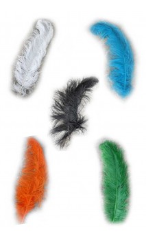 Plumes Autruche couleurs