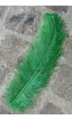 Plumes Autruche couleurs