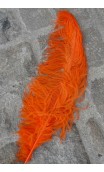 Plumes Autruche couleurs