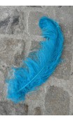 Plumes Autruche couleurs